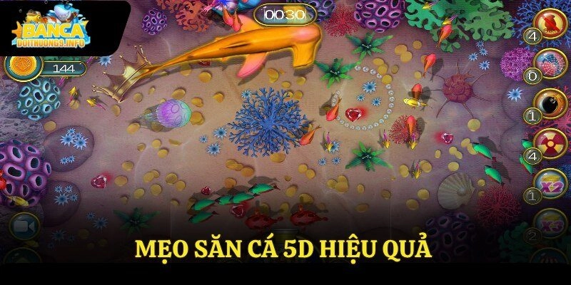 Mẹo săn cá 5D hiệu quả